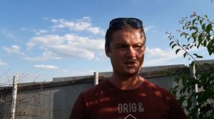 Результат применения гербицида Фюзилад  в саду.