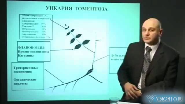 Детокс презентация бад VISION смотреть онлайн