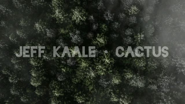 Jeff Kaale • Cactus (Free Type Beat) смотреть онлайн