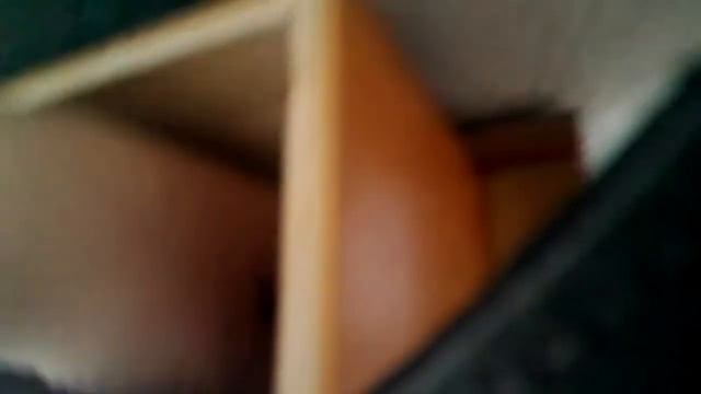 Мои домашние рыбки маркi Кир