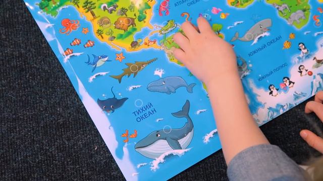 Обучающий плакат «Животные мира», звуковые эффекты смотреть онлайн