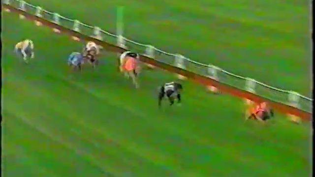 1998 QLD CUP - Rapid Journey смотреть онлайн