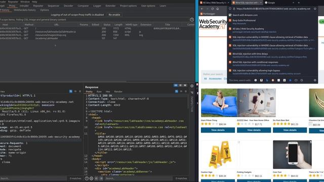 Blind SQL injection with time delays смотреть онлайн