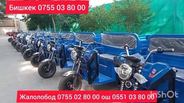 сиз куткан муравьи смотреть онлайн