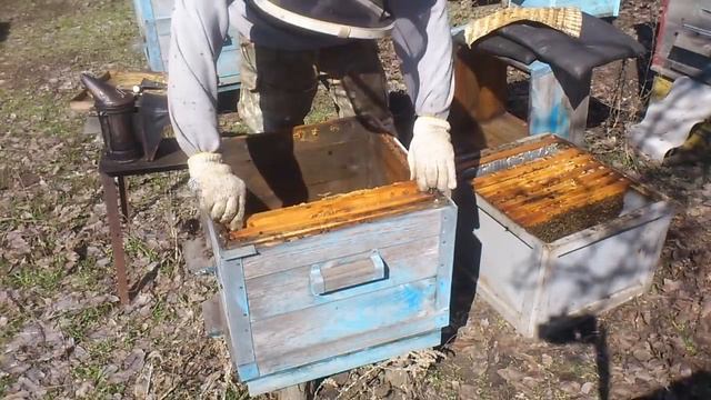 При осмотре пчел весной я делаю вот так смотреть онлайн