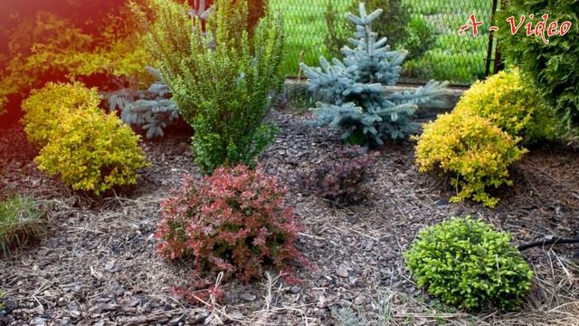 ?Дизайн садового участка Оригинальные идеи для воплощения / Beautiful garden ideas / A - Video смотреть онлайн