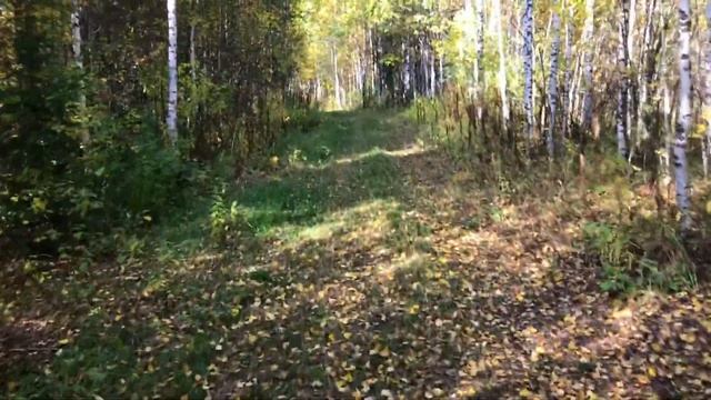 Ямантау Межгорье 2022. Гуляю в самом закрытом городе РФ! Часть2 смотреть онлайн