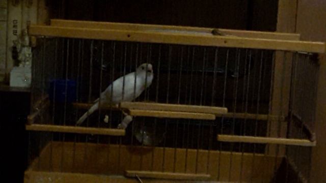 28 марта 2019 г. смотреть онлайн