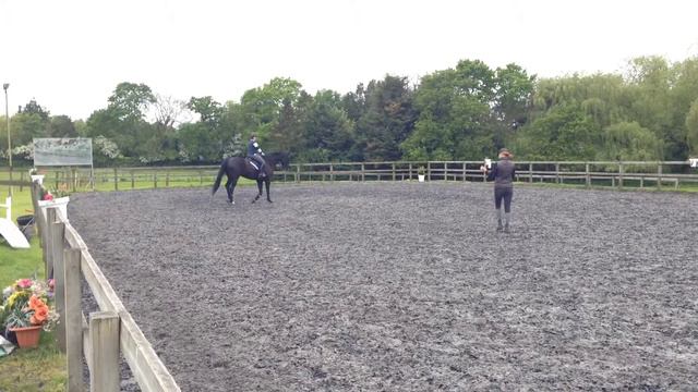 Norman dressage to music (2) смотреть онлайн