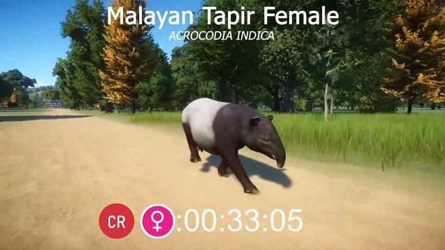 Tapiridae Species Animals Races in Planet Zoo included South American Tapir, Baird's tapir смотреть онлайн
