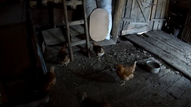 17*Побелка, покраска на участке дома смотреть онлайн