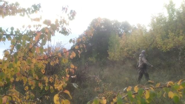 Открытие сезона ловли птиц 2022 2023 смотреть онлайн