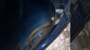 тойота калдина ремонт дверей