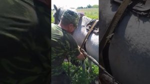 Окучиваем картофель лошадью, с помощью сохи.