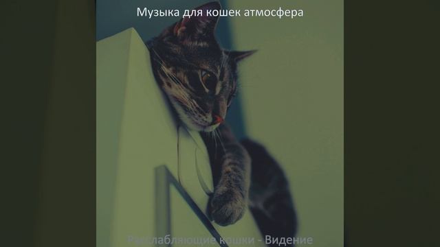 Музыка (Созерцая)
