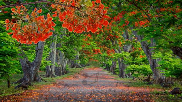 Mario Potiron - Esklav смотреть онлайн