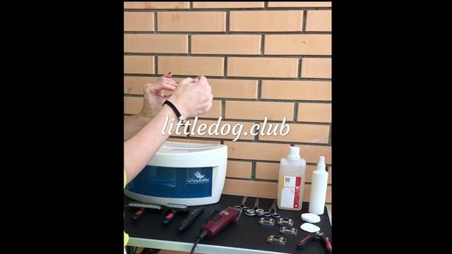 Инструменты для стрижки йорка, дезинфекция грумерских инструментов смотреть онлайн