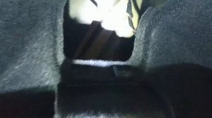 Как снять задний фонарь, мелкий ремонт Volkswagen Passat B8. How to remove the taillight.