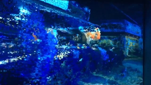 Streets of Tokyo — Custom Unity shader running point clouds смотреть онлайн