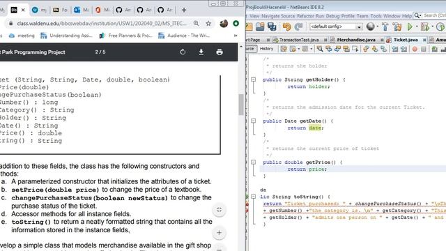 Amusement Park Programming Project 1 смотреть онлайн