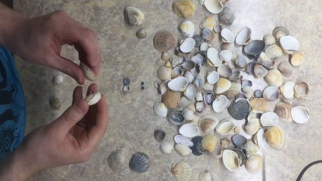 поделки из #ракушек // обязательно привезите с моря ракушки смотреть онлайн