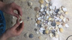 поделки из #ракушек // обязательно привезите с моря ракушки