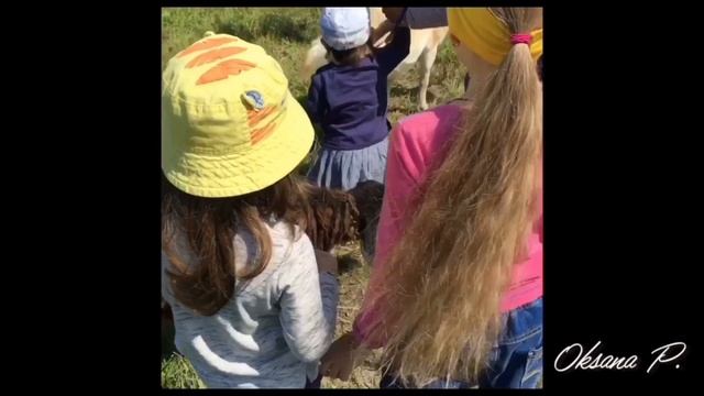 Посмотри, что КОЗА делает!Пришла на РОГАХ! Look at the goat!Наша прогулка по деревне! смотреть онлайн