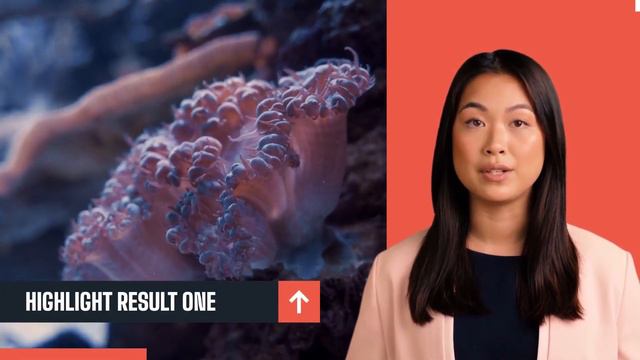 Natural Bacopa Monnieri for Memory Improvement смотреть онлайн