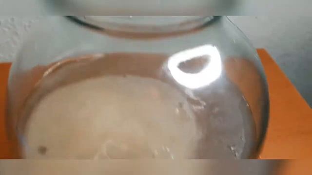 Выращивание нового чайного гриба ? смотреть онлайн