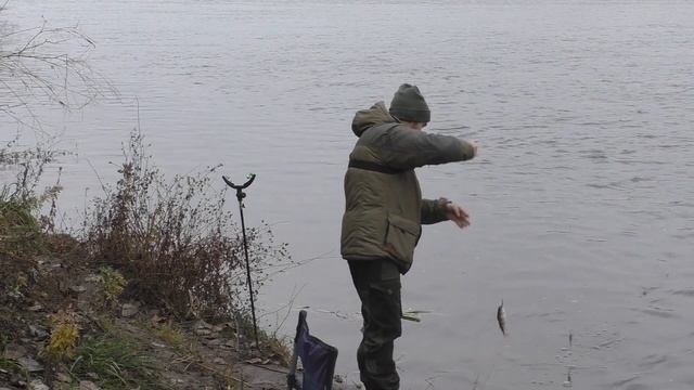 Ловля Судака на живца. Рыбалка на резинку поздней осенью. Рыбалка в Воронежской области. смотреть онлайн