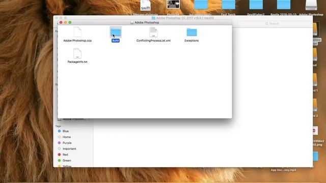 How To Install Adobe PhotoShop CC 2017 Running Mac OS Serria Part 1 смотреть онлайн