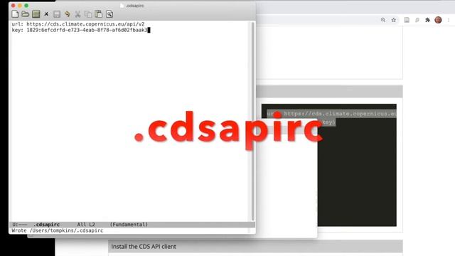 Using the python CDSAPI to access the climate data store смотреть онлайн