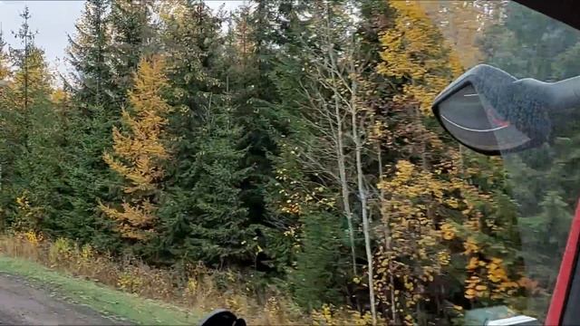 ОТ УФЫ ДО КУШНАРЕНКОВО. КОТЕНОК ЗАБОЛЕЛ смотреть онлайн