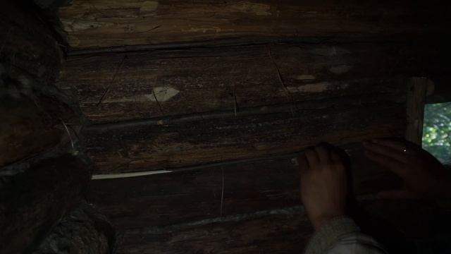 Наловил карасей у Лесной избы/Убираю щели между венцами смотреть онлайн