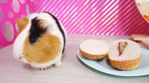 100 СЛОЕВ ЕДЫ ЧЕЛЛЕНДЖ ! Веселый Челлендж Про Еду Свинка Бузя и Рандомный Бутер