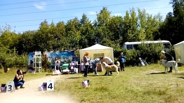 САО МОНО ПК г.Екатеринбург 4.08.2018г судья Овсянникова Ю.Б. смотреть онлайн