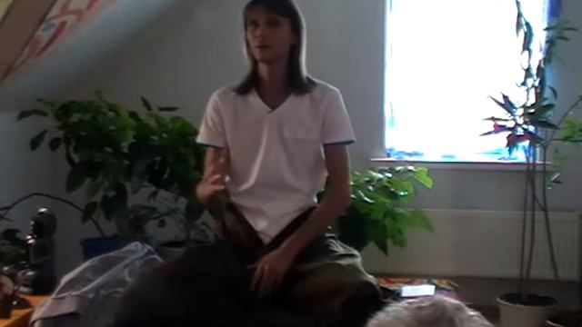 Сумиран. Ритрит. Подмосковье (09.05.2014) смотреть онлайн