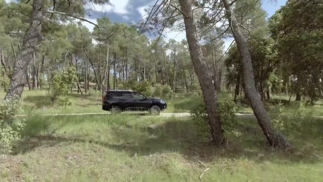 Los Mejores 4X4 del MUNDO 2019 смотреть онлайн