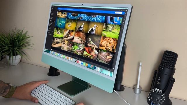 NEW 2023 24" M3 Apple iMac (GREEN) - Unboxing, Review & Tour | Best Value PC on the Market? смотреть онлайн