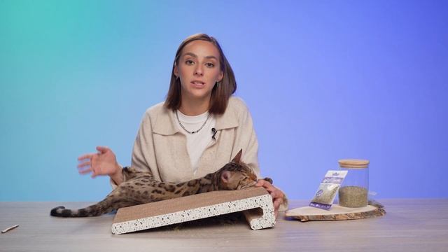 Кошачья мята для кошек / Пушистый гость кайфует / Саша знает смотреть онлайн