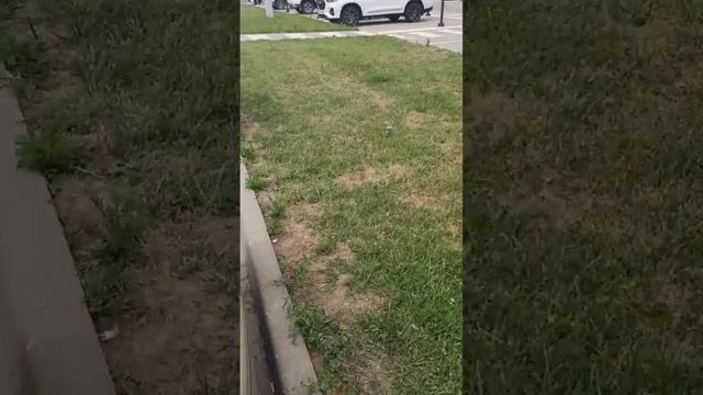 Kia Rio '2015 смотреть онлайн