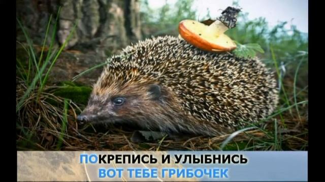 Караоке для детей С миром, с лаской! (минус) смотреть онлайн