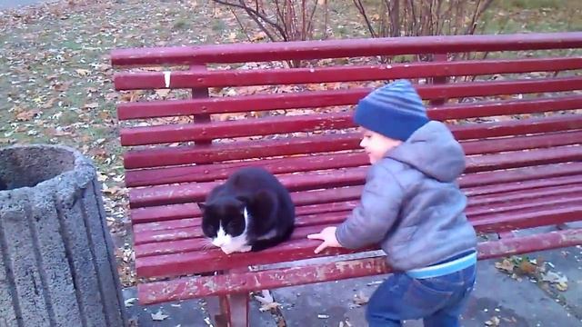 2. Есть контакт! Ребенок заметил кошку))