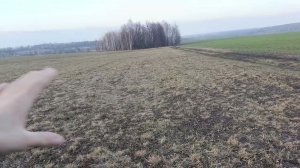 Поднять целину и в первый год заработать