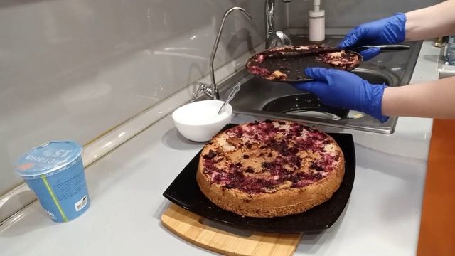 Цирковые Представления и Шоу