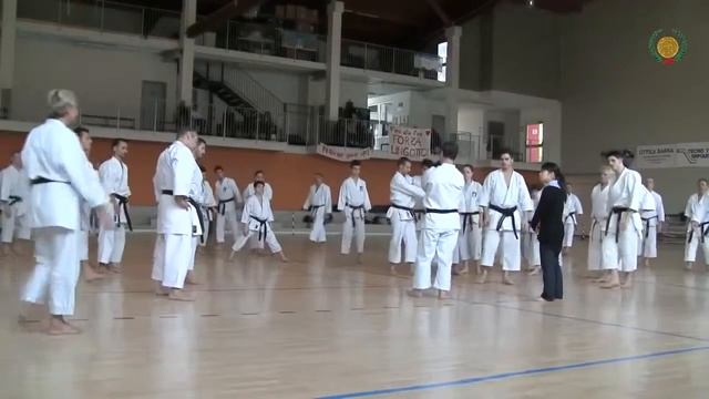 Masao KAGAWA Sensei JKS Kata Unsu смотреть онлайн