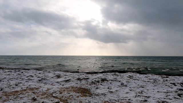 Зимнее побережье Чёрного моря. Евпатория Evpatoria Крым Crimea смотреть онлайн