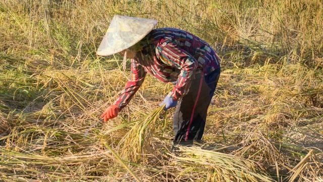 KARUNESH : Un Petit Tour En Asie .....