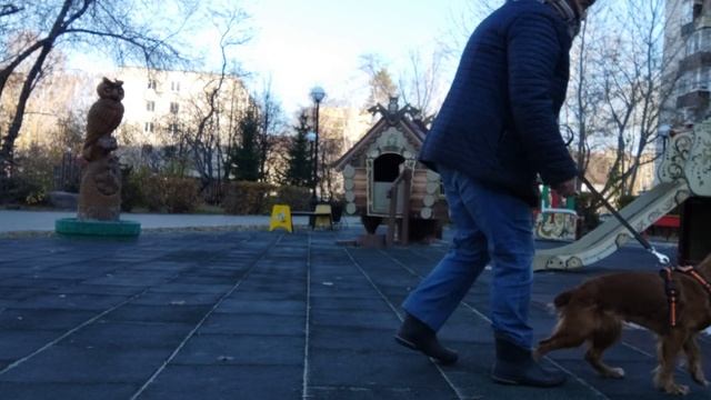 27.10.22 Отрабатываем упражнение на повышение пищевой мотивации "Прямое наведение". смотреть онлайн