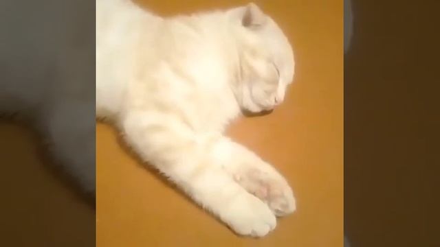 Мертвым сном... смотреть онлайн